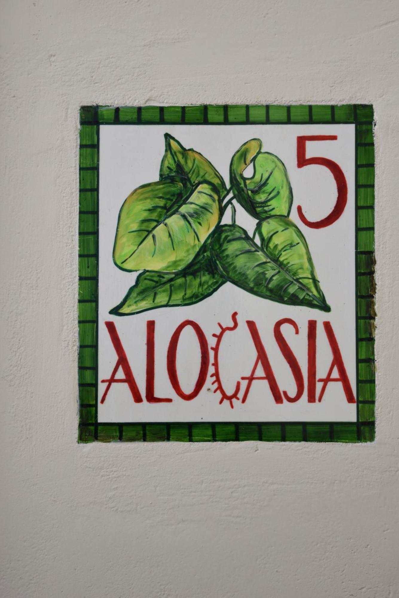 Cactus Hydra - Art Apartments Room photo
