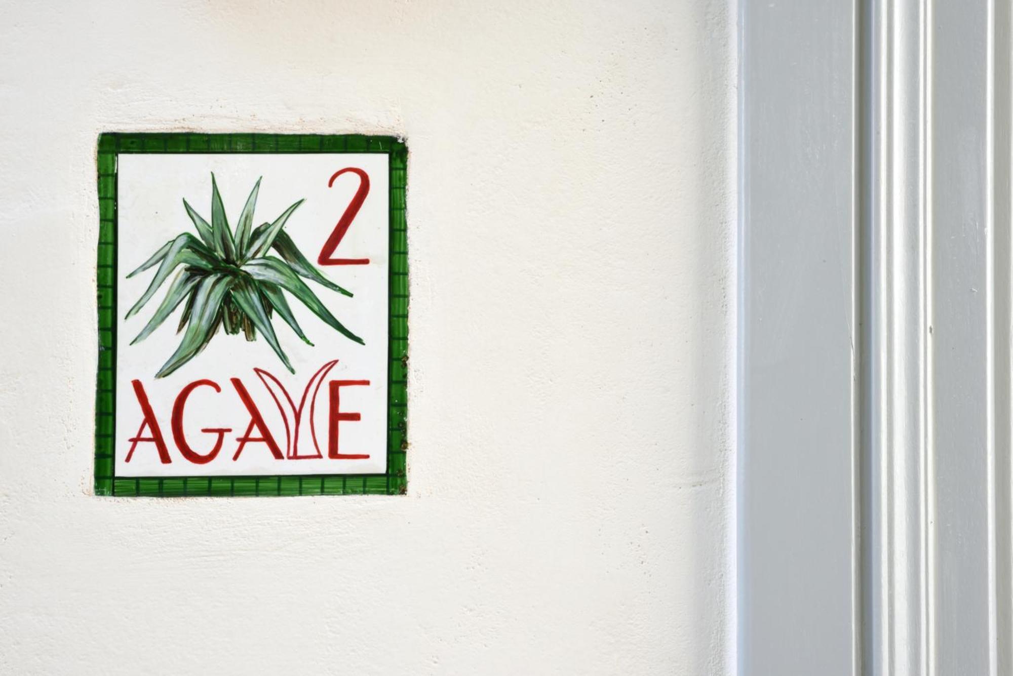 Cactus Hydra - Art Apartments Room photo