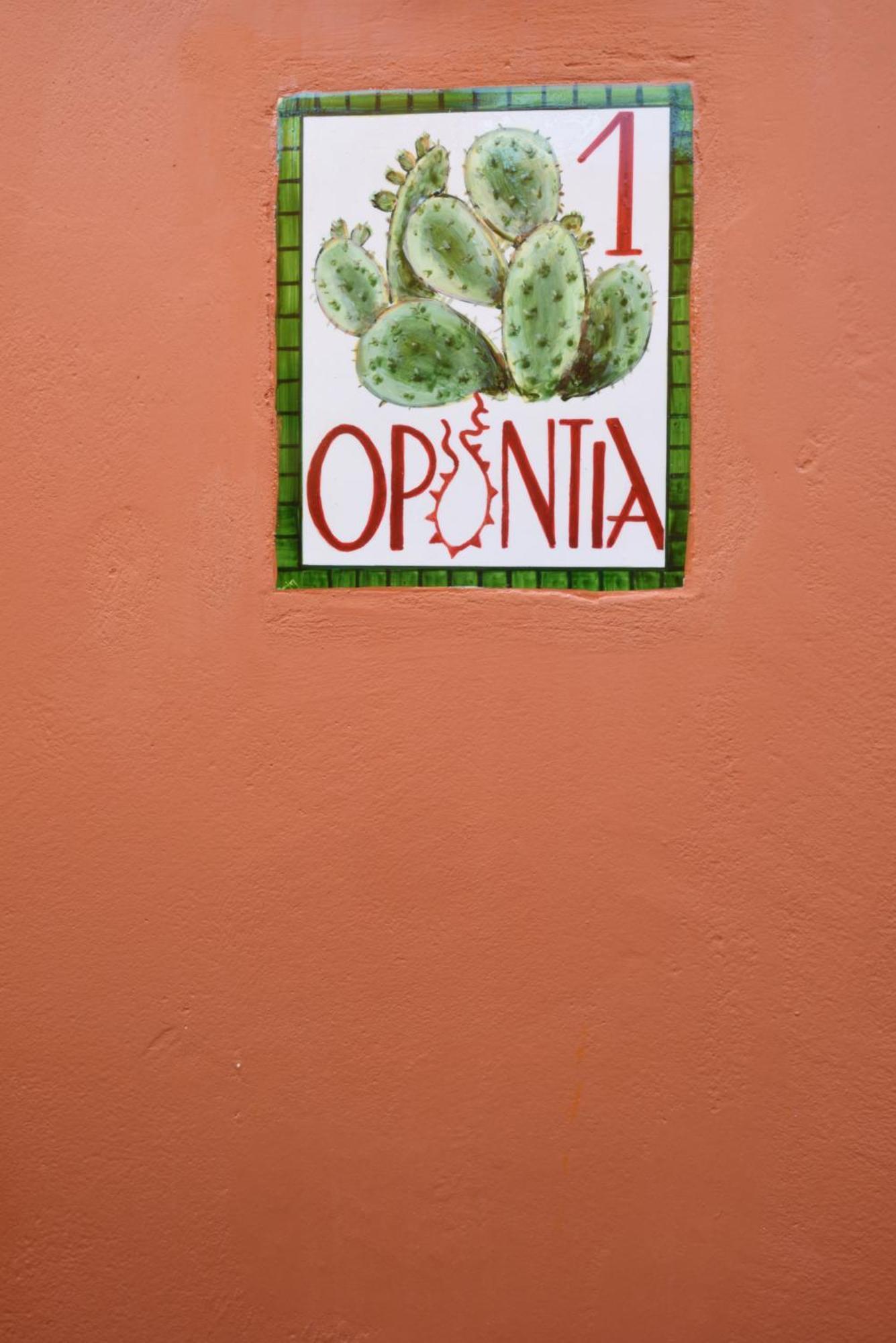 Cactus Hydra - Art Apartments Room photo